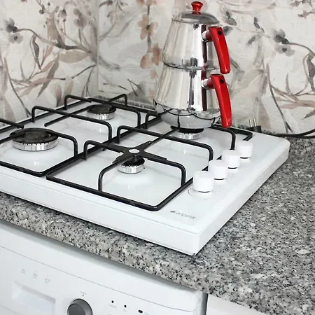 Ağa Apart Eski Datça Appart hôtel Muğla